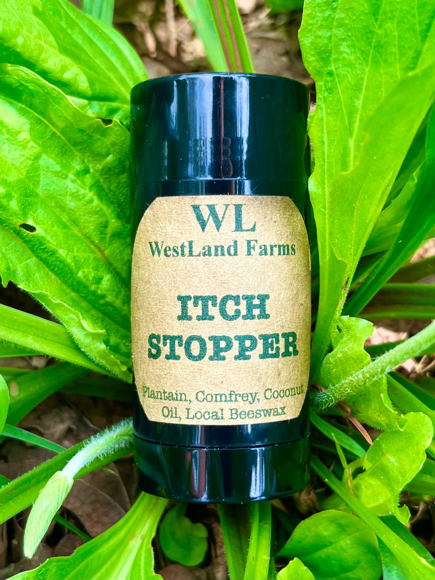 Itch-Stopper Salve