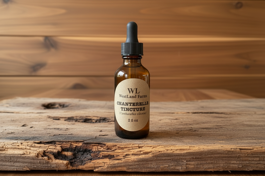 Chanterelle Tincture - Very Weathered Cedar