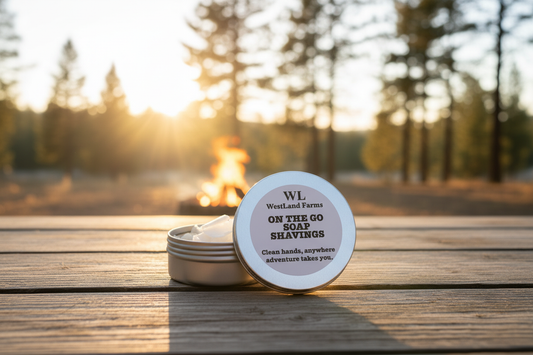 Golden Hour Campfire – Pine Trees