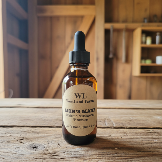Lion's Mane Tincture - Farmhouse